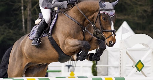 Female rider jumping an obstacle on chestnut horse.