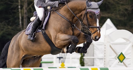cuanto puede correr un caballo