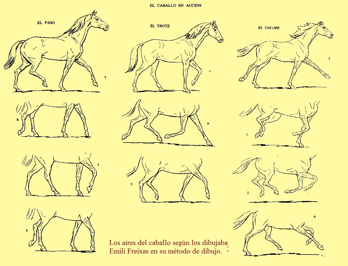 aires caballo