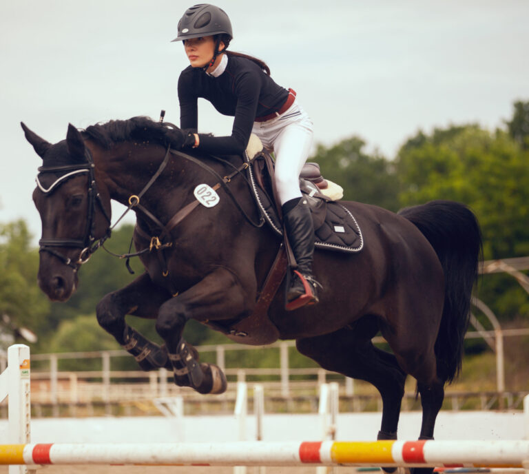 raid caballos